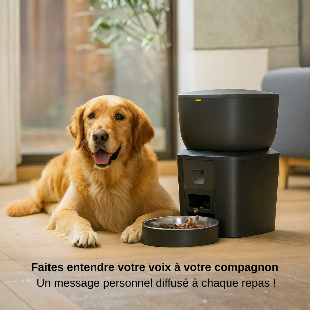 CroqConnect Distributeur pour chats et chiens 4L Caméra HD WiFi 5G