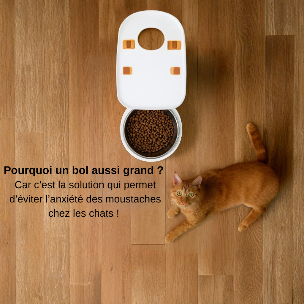 Distributeur Automatique Connecté avec Caméra HD pour Chats et Chiens