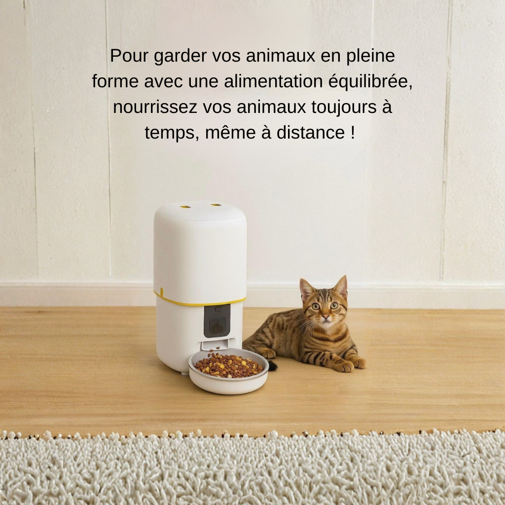 CroqConnecte 5G – Distributeur de Croquettes Intelligent avec Caméra HD