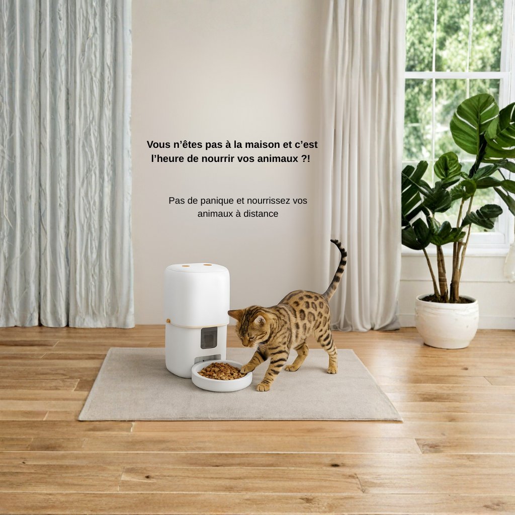 CroqConnecte 5G – Distributeur de Croquettes Intelligent avec Caméra HD