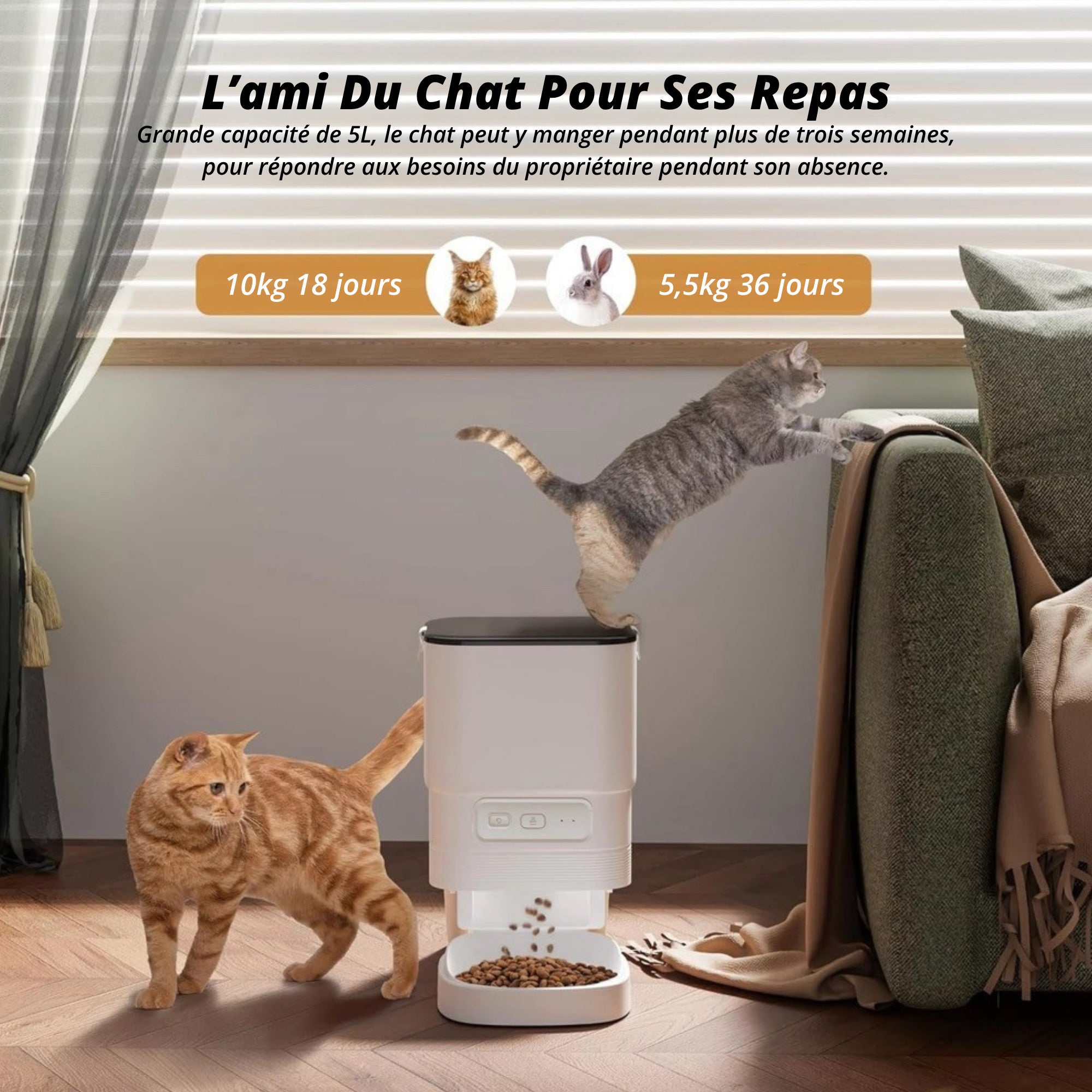 Pack Distributeur Connecté + Fontaine à Eau Pour Chats et Chiens