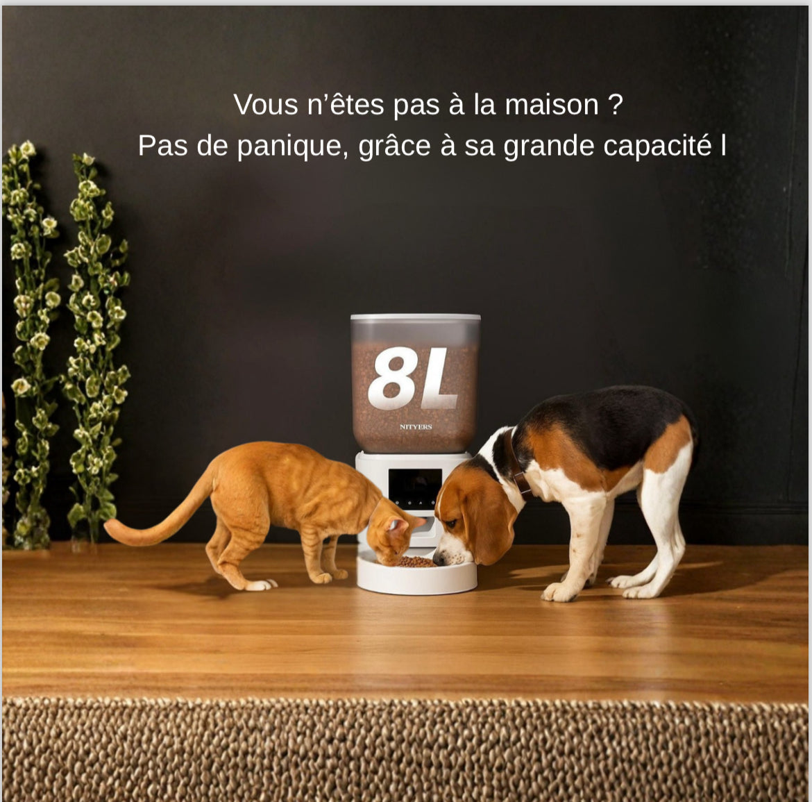 CroqConnecte 5G 8L - Distributeur croquettes chat et chien avec caméra Wi-Fi