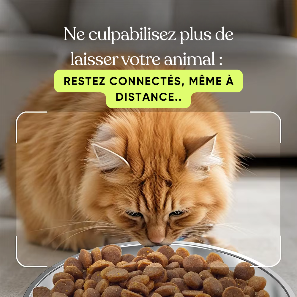 Distributeur Automatique Connecté avec Caméra HD pour Chats et Chiens